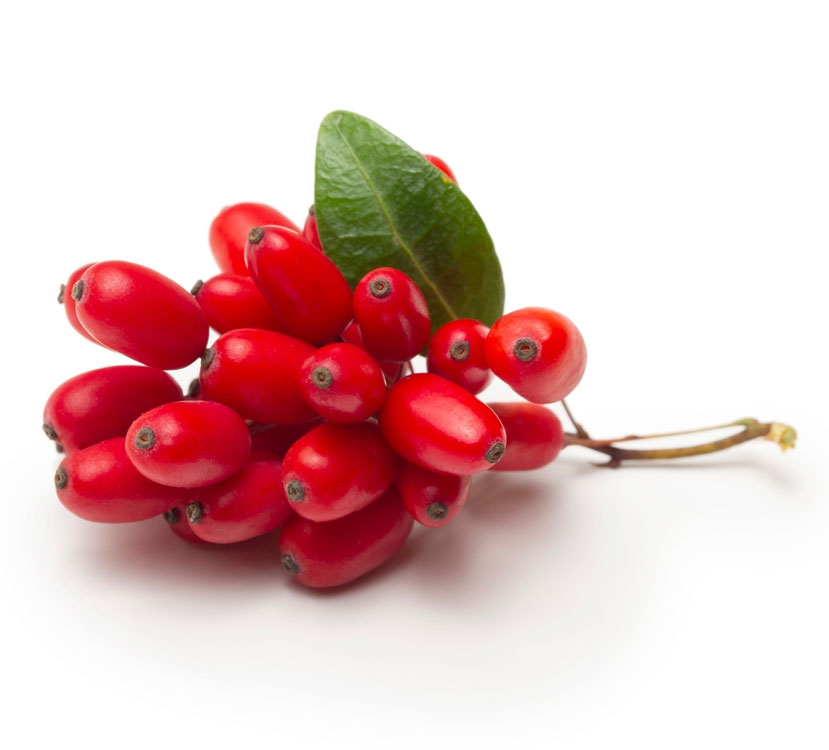 نهال گوجی بری قرمز 